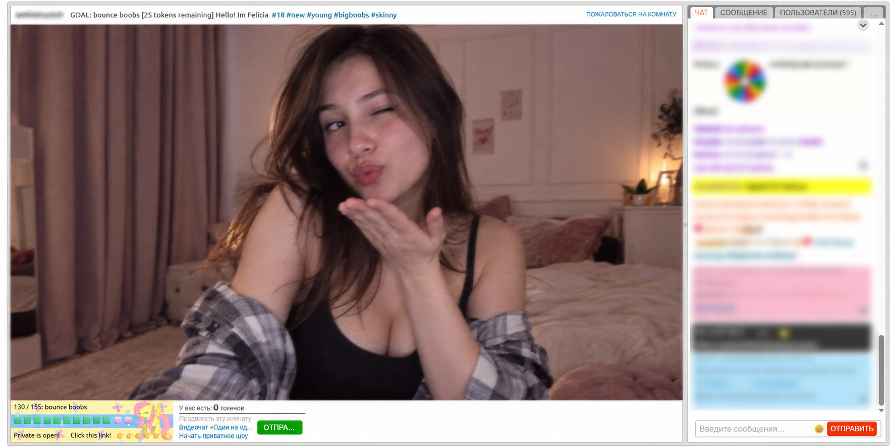 Пример Goal Bot и панели цели во время трансляции на Chaturbate